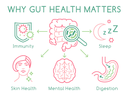 How Your Gut Health Affects Your Whole Body