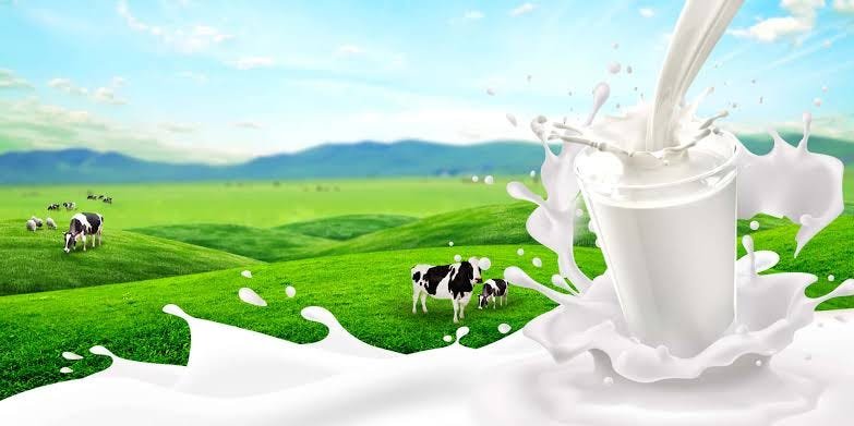 WellHealthOrganic: Nutritional comparison of cow milk and buffalo milk